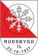 Møte i kommunestyresalen